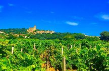Half-Day Provence Pont du Gard and Wine Tasting Tour from Avignon