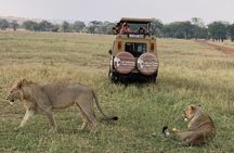 3 Days Tanzania Safari