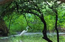 7 - Days Private Golden Triangle Tour with Bird Sanctuary