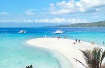 Whale Shark Watching with Sumilon Sandbar and Kawasan Falls Tour 