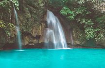 Whale Shark Watching with Sumilon Sandbar and Kawasan Falls Tour 
