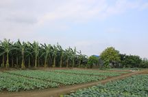 Motorbike tour in Hanoi- Private Tour