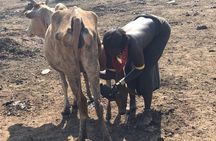 6 Days Omo valley Tribal Tour (Starts Arba Minch End Jinka)