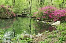 Central Park Walking Tour