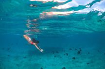 Morning Half Day Cruise from Providenciales with Snorkeling and Iguana Island