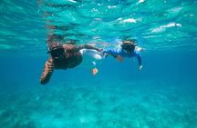 Morning Half Day Cruise from Providenciales with Snorkeling and Iguana Island