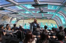 Niagara Falls USA, Domed (Dry) Jet Boat Tour