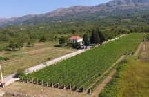  Flavours of Konavle: Wine, Food & Village Life Experience