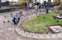 Shared Walking Tour in Guayaquil City