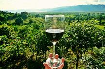 Private Wine Tour from Zagreb: Two Local Wineries & Samobor 