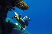 Day Diving in Hurghada by Boat