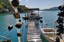 Ston Gastro Tour