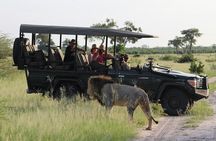 Chobe Day Trip from Livingstone