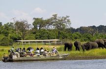 Chobe Day Trip from Livingstone