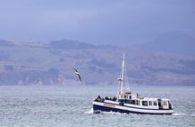 City to Sea Wildlife Cruise + Peninsula Bus Tour 