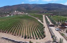  Wine Route including Tastings
