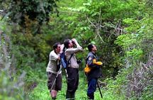 Half Day Birdwatching in Cerro Blanco from Guayaquil