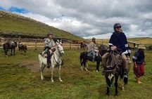Cotopaxi Horseback Riding Tour from Quito – Andes Adventure