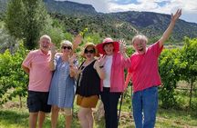 Join in Wine Tours