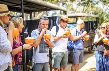 All Inclusive Overnight Tented Camping in Yala From Kalutara / Wadduwa / Bentota