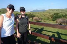 Keelung Shore Excursion: Yangmingshan Hot Spring and Wild Vegetable Cuisine Tour