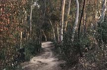 Fullerton Loop Beginner Electric Bike Tour 