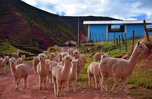 Palccoyo Rainbow Mountain: Full Day