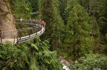 Best Of Vancouver Small-Group Tour w/Capilano + Grouse Mtn Lunch