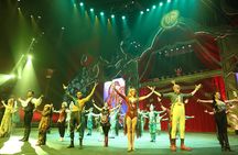 Evening Tour of Guangzhou Chimelong International Circus