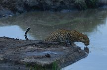 Classic Kenya Explore Safari 2022