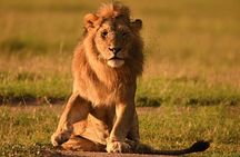 Classic Kenya Explore Safari 2022
