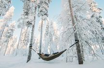 Cocooning in the HaliPuu forest: The ultimate Arctic hammock relaxation
