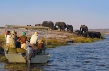 2-Day Nyerere National Park , Boat Safari & Game Drive
