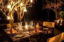 All Inclusive Overnight Tented Camping in Yala From Kandy