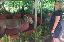 Appleton Rum Factory, Ys Falls, Black River Safari, Floyd’s Pelican Bar
