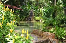 Eco Explorers Waterfall, Rainforest, local Shopping with lunch