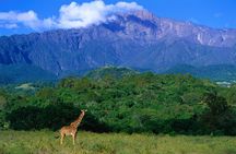 1 Day: Arusha National Park