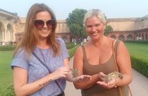  All Inclusive: Same day Taj Mahal Tour From Delhi 