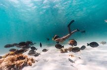 Aruba Sail and Snorkel with Crafted Cocktails