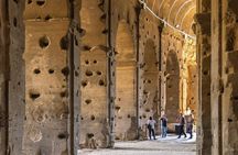 Colosseum Arena, Roman Forum & Palatine Hill with Audio Guide 