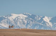 Agafay Desert Camel Experience with snack from Marrakech
