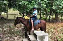Customize Day Tour In Ochi (Horseback Riding,Rafting,Blue Hole, Dunns River )
