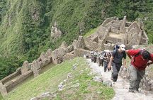 Inca Trail to Machupicchu - INKA TRAIL 2D / 1N. KM 104 - Wiñayhuayna - Machupicchu