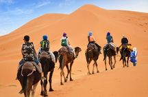 2-Day Merzouga Desert Tour from Fez