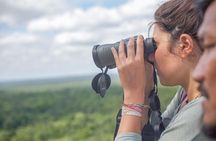 Birdwatching at The Mayan Cities with certified guide