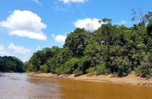 Amazon Discovery 4 Days and 3 Nights pacaya-samiria reserve