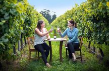 Half-Day Wine Tour from Picton