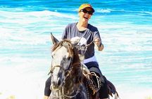 Horseback Riding Tour in Los Cabos