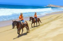 Horseback Riding Tour in Los Cabos
