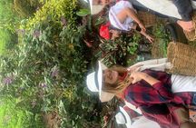 Coffee tour+Guatape 